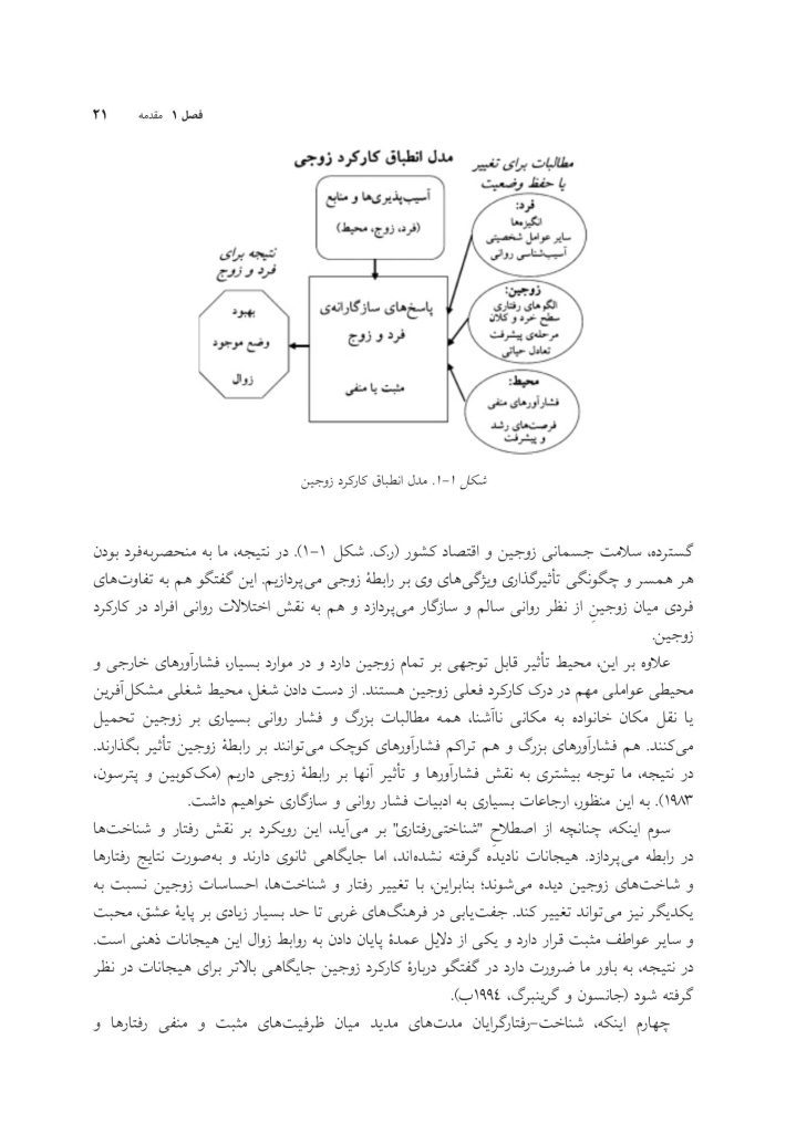 زوج‌درمانی شناختی- رفتاری پیشرفته - صفحه 16