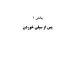 سیلی واقعیت (اکت به روایتی دیگر) - صفحه 14