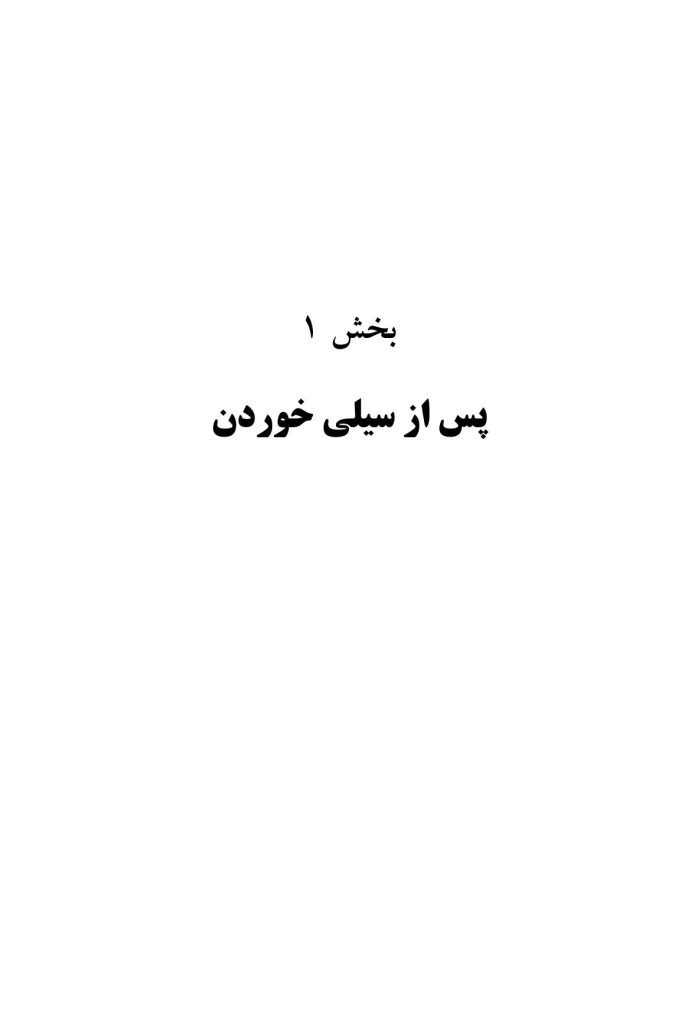 سیلی واقعیت (اکت به روایتی دیگر) - صفحه 14