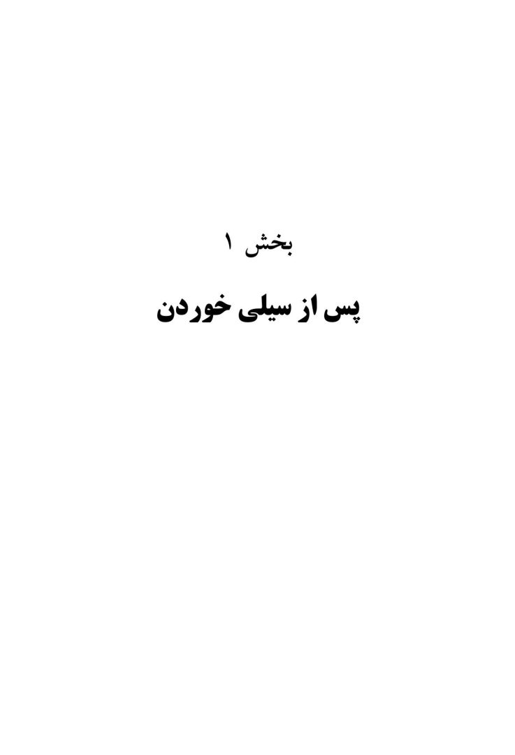 سیلی واقعیت (اکت به روایتی دیگر) - صفحه 14