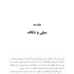 سیلی واقعیت (اکت به روایتی دیگر) - صفحه 8