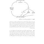 رفتاردرمانی شناختی (جلد دوم) - صفحه 14