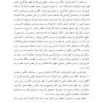 تئوری های کلاینی از منظر معاصر - صفحه 14