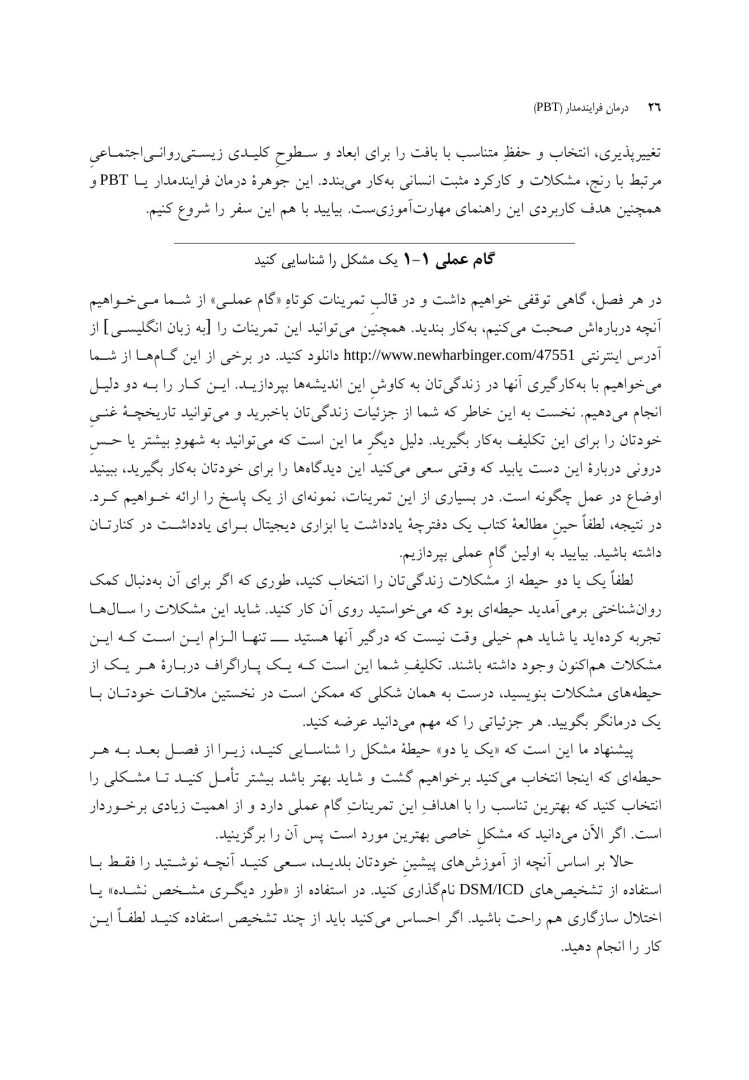 درمان فرایندمدار(PBT) - صفحه 16