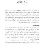 درمان فرایندمدار(PBT) - صفحه 18