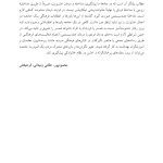 مداخله پس از خشونت - صفحه 6
