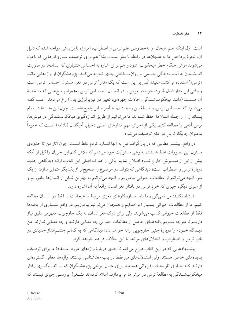 مغز مضطرب - صفحه 4