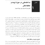 توان بخشی شناختی اختلال های عصب شناختی کودکان - صفحه 4