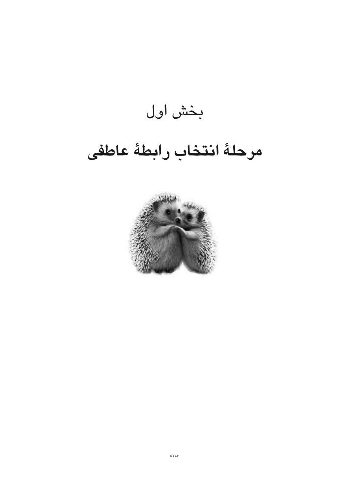 رنج بودن با دیگری - صفحه 7