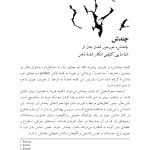 کتاب هیجانات (سلمان اختر) - صفحه 19