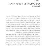 درمان راهحلمحورمبانی پایه - صفحه 13