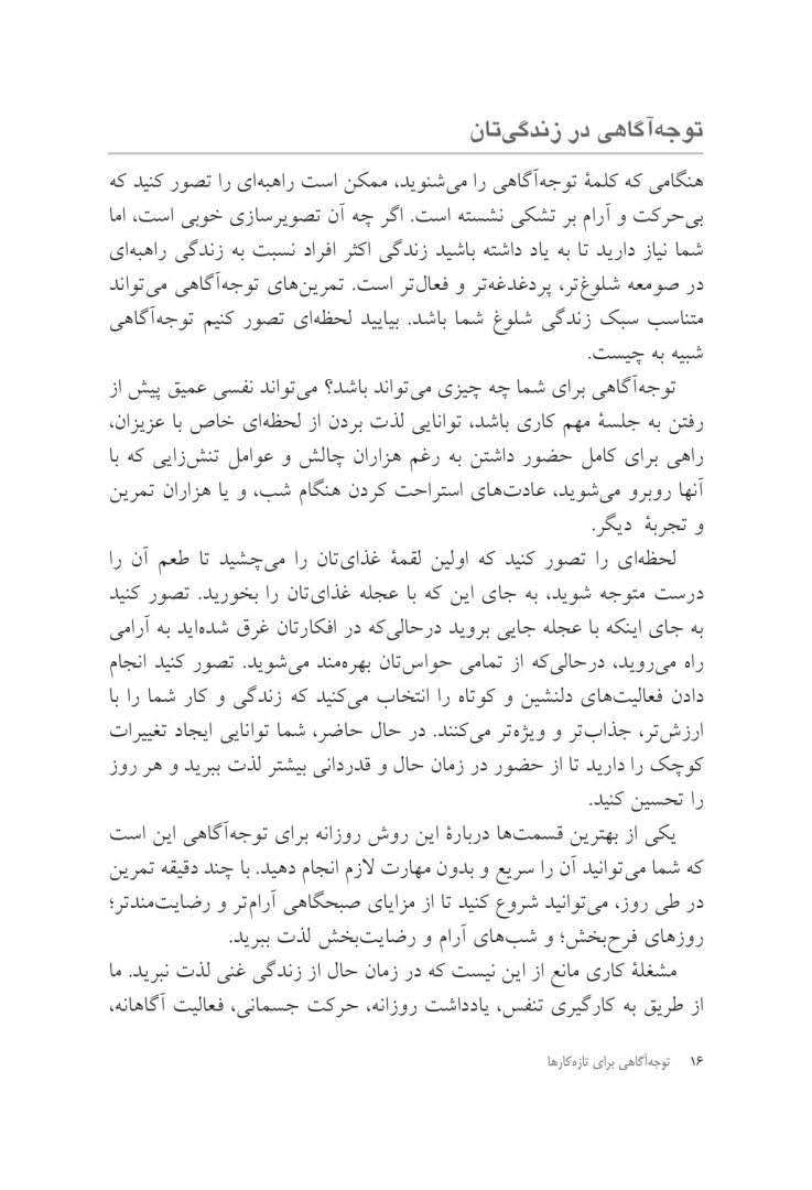 توجه آگاهی برای تازه کارها ده دقیقه در روز - صفحه 12
