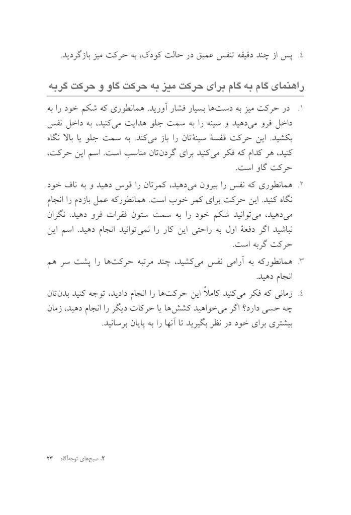 توجه آگاهی برای تازه کارها ده دقیقه در روز - صفحه 19