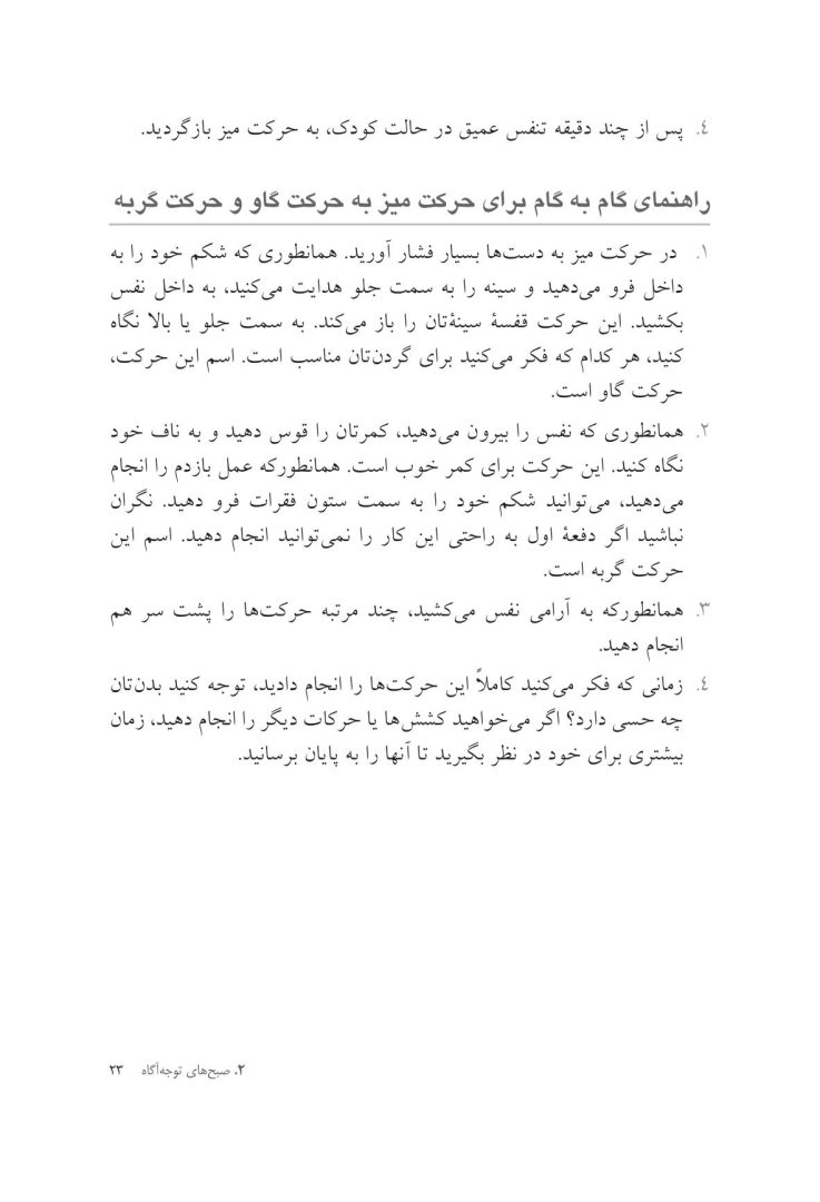 توجه آگاهی برای تازه کارها ده دقیقه در روز - صفحه 19