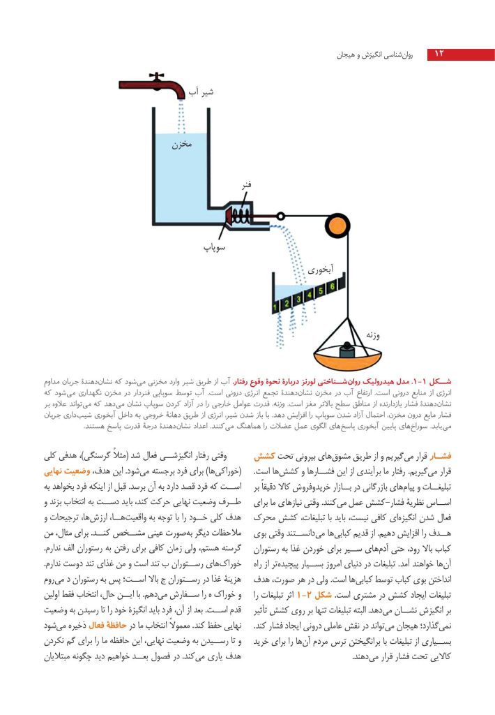 روان‌شناسی انگیزش و هیجان - صفحه 5