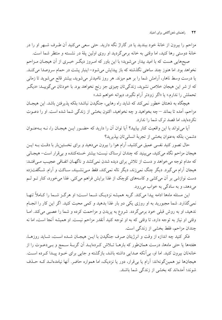 راهنمای ذهن آگاهی برای اعتیاد - صفحه 11