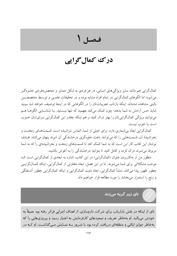 کتاب کار ذهن آگاهی برای کمالگرایی - صفحه 8