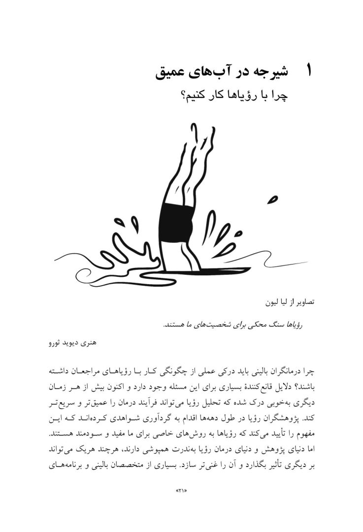 راهنمای متخصصان بالینی برای رویادرمانی - صفحه 16