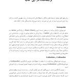 توانایی صلح و میل به جنگ - صفحه 4