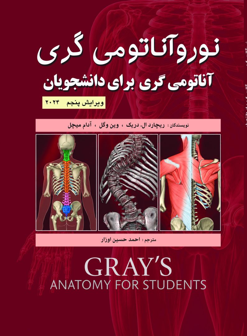 بهترین ترجمه کتاب نوروآناتومی گری برای دانشجویان - 2024 - نشر اشراقیه