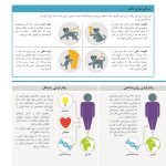روان‌شناسی چگونه کار می کند؟ - صفحه 12
