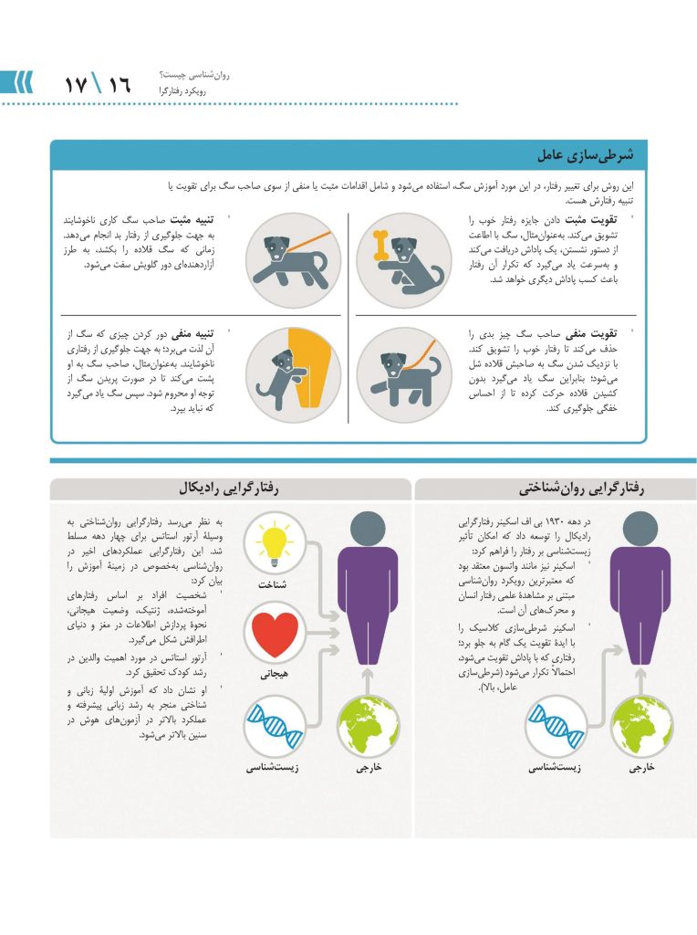 روانشناسی چگونه کار می کند؟ - صفحه 12