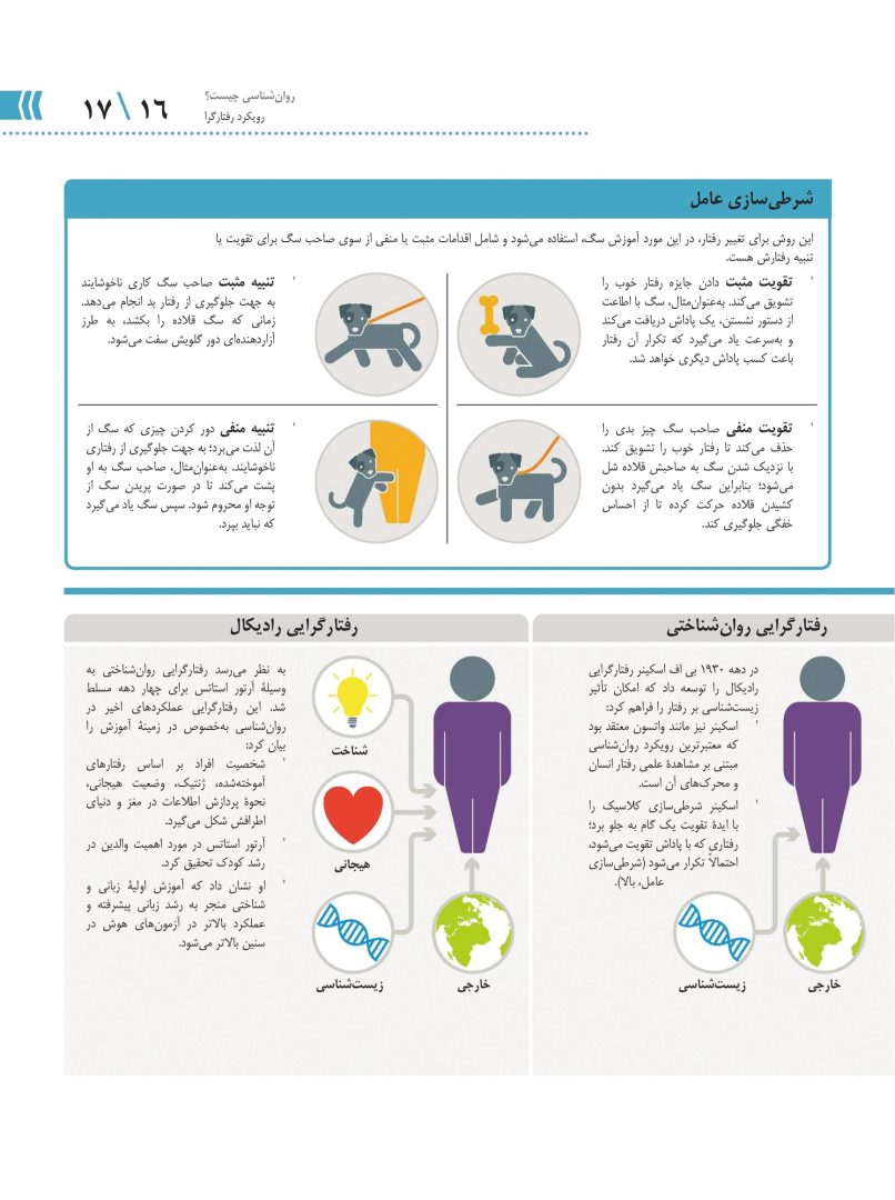 روانشناسی چگونه کار می کند؟ - صفحه 12