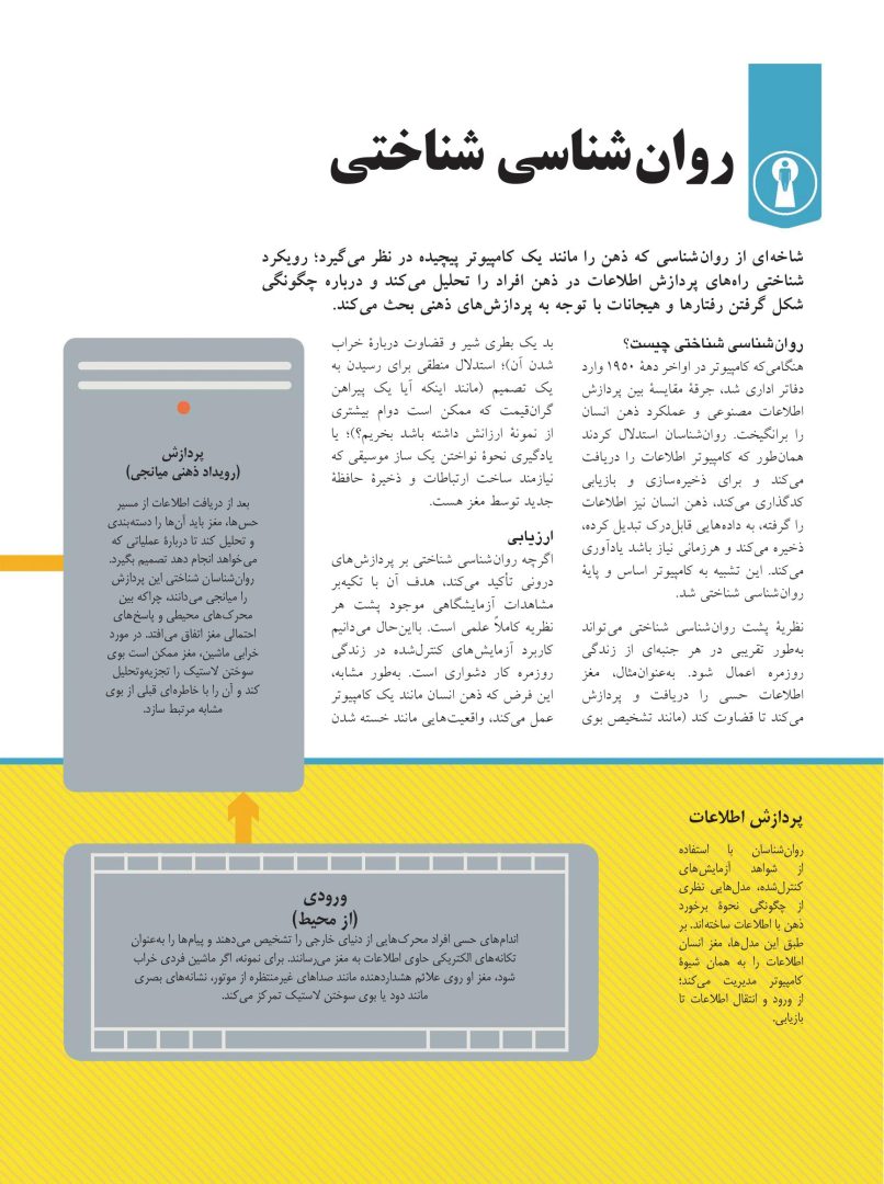 روانشناسی چگونه کار می کند؟ - صفحه 15