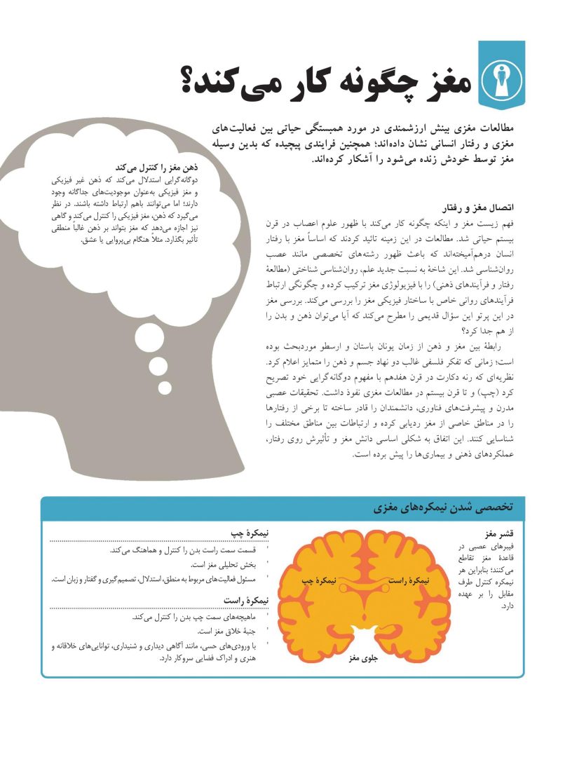 روانشناسی چگونه کار می کند؟ - صفحه 19