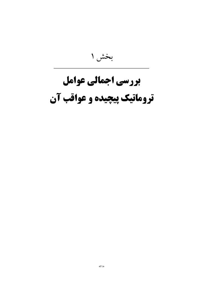 درمان ترومای پیچیده - صفحه 16