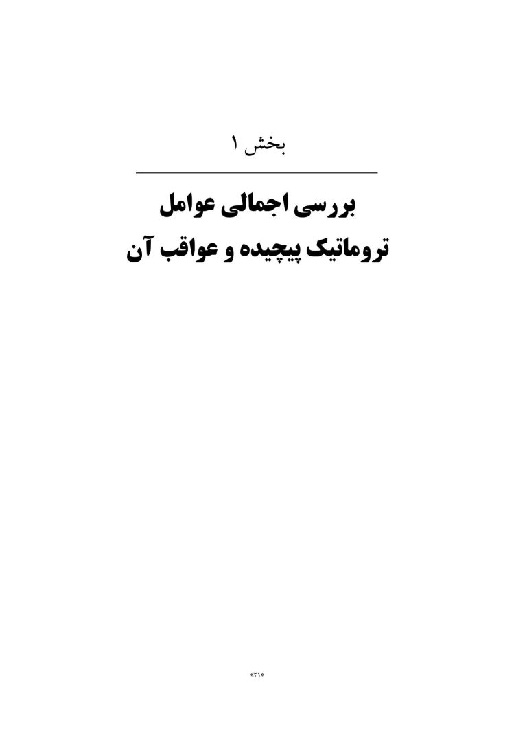 درمان ترومای پیچیده - صفحه 16