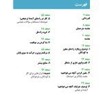 کاربست راه حل محور - صفحه 2