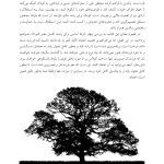 فرزندپروری با شناخت رشد مغز کودک - صفحه 18