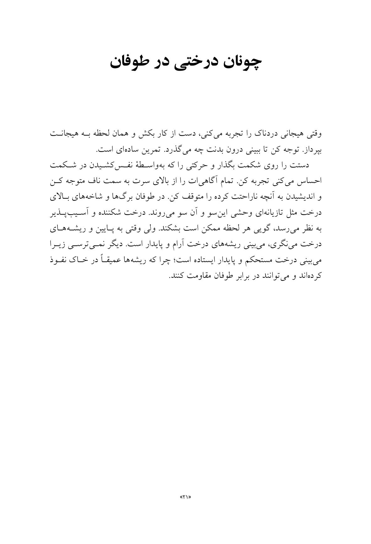 چگونه بعد از مرگ عزیزانم زندگی کنم؟ - صفحه 11
