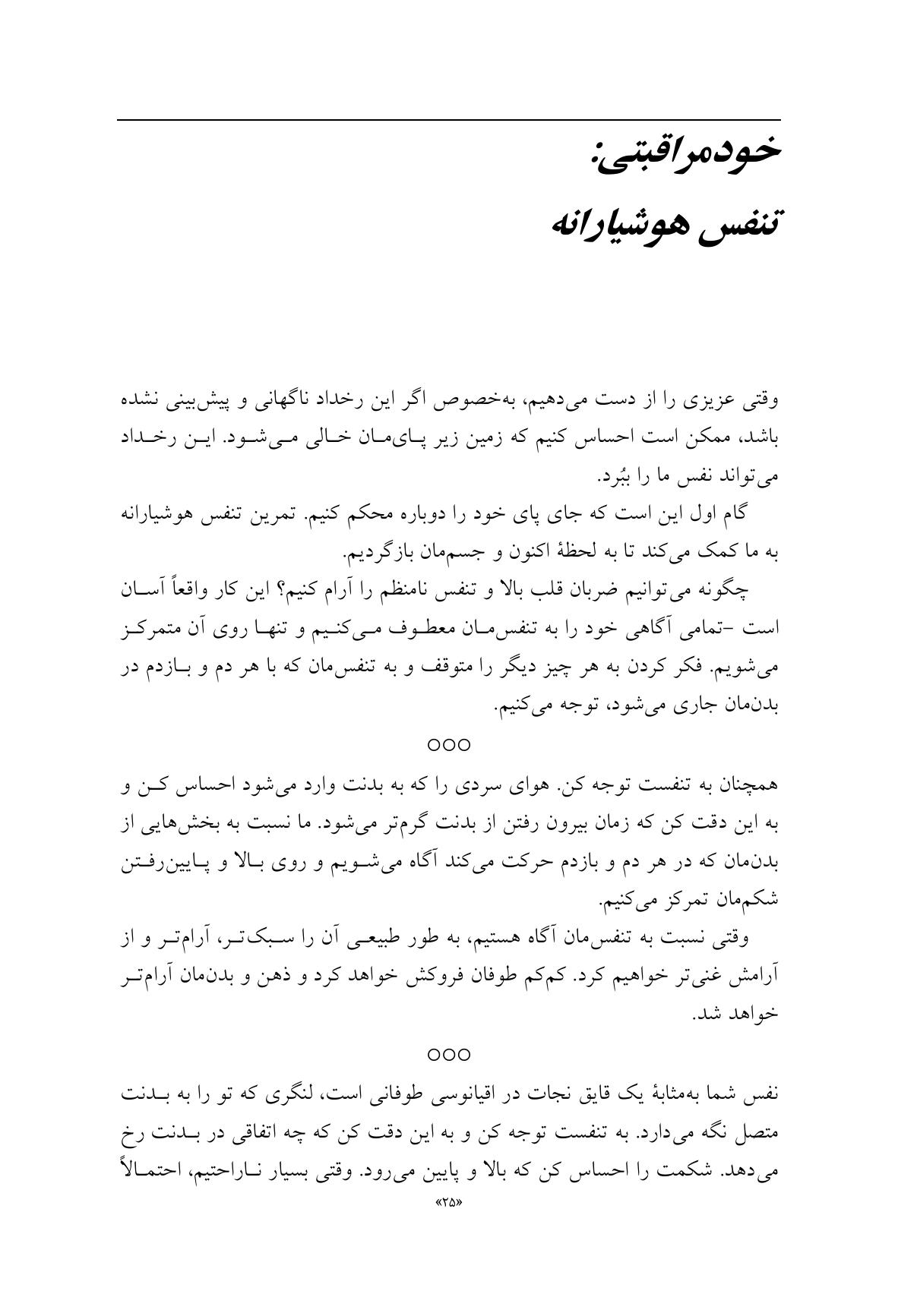چگونه بعد از مرگ عزیزانم زندگی کنم؟ - صفحه 14