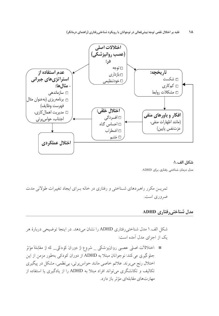 غلبه بر اختلال نقص توجه/بیشفعالی در نوجوانان - صفحه 13