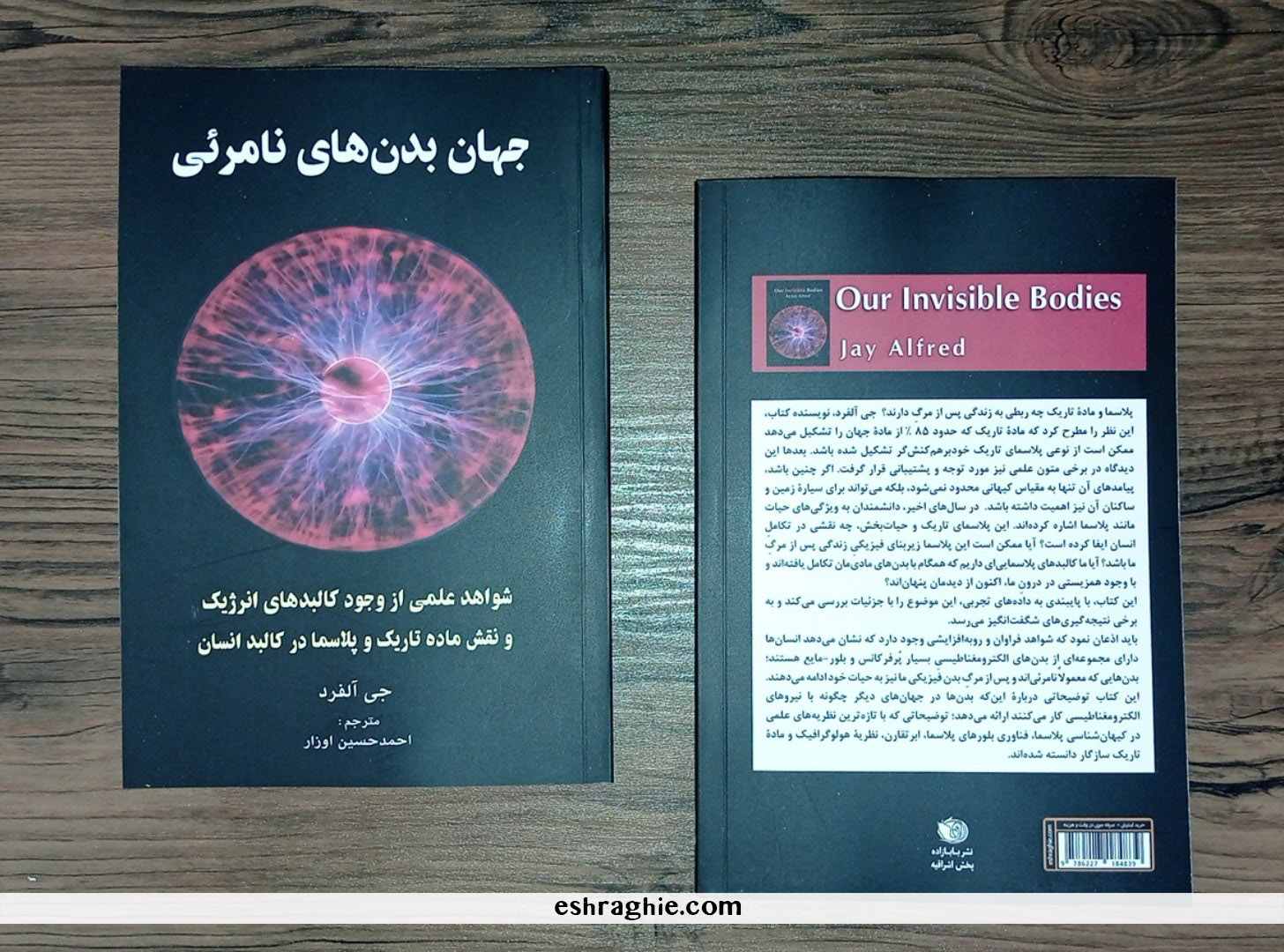 کتاب جهان بدن های نامرئی - ترجمه کتاب The Invisible Bodies - نشر اشراقیه
