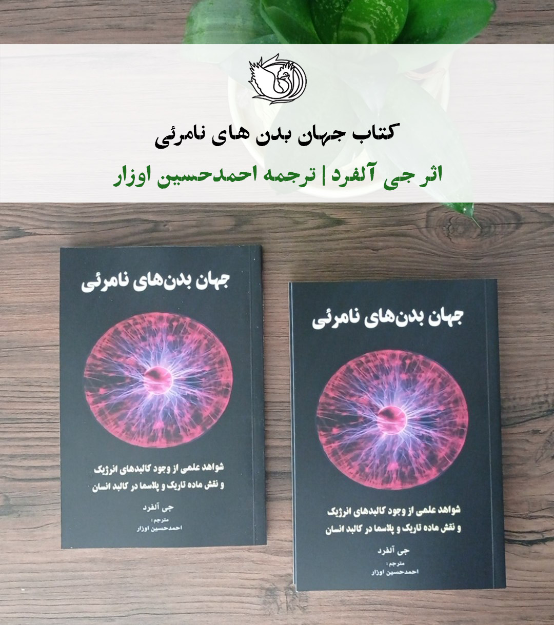 جهان بدن های نامرئی - تصویر 15