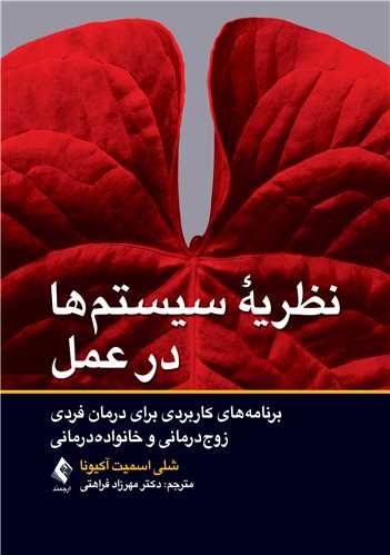 جلد کتاب نظریه سیستم‌ ها در عمل