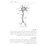تکنیک های توانبخشی در درمان سکته مغزی - صفحه 10