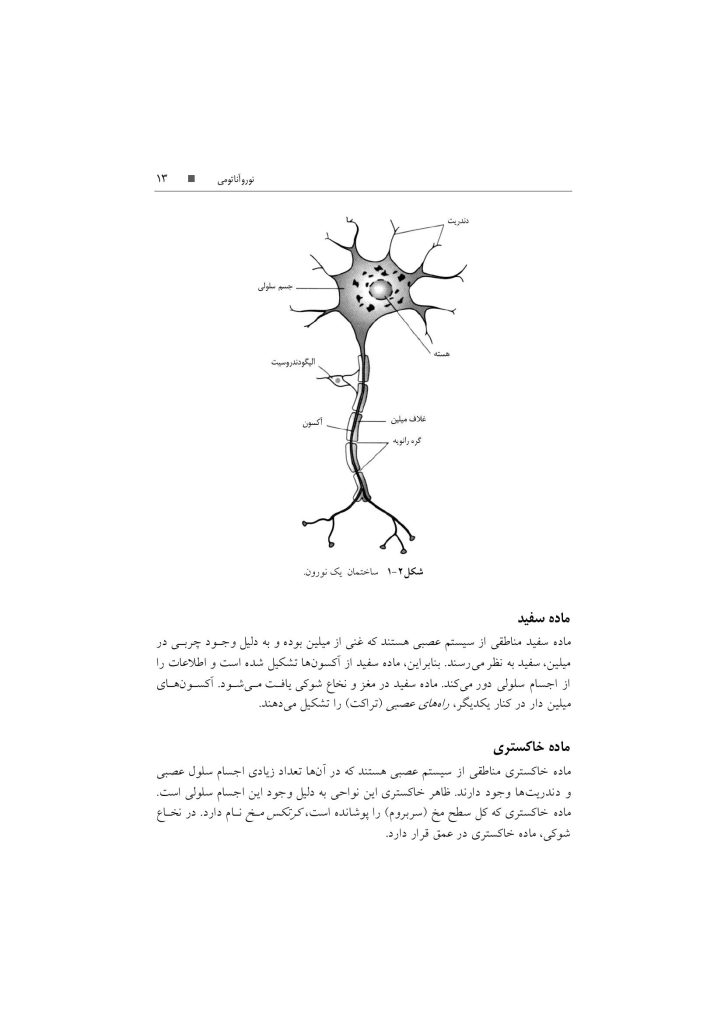 تکنیک های توانبخشی در درمان سکته مغزی - صفحه 10
