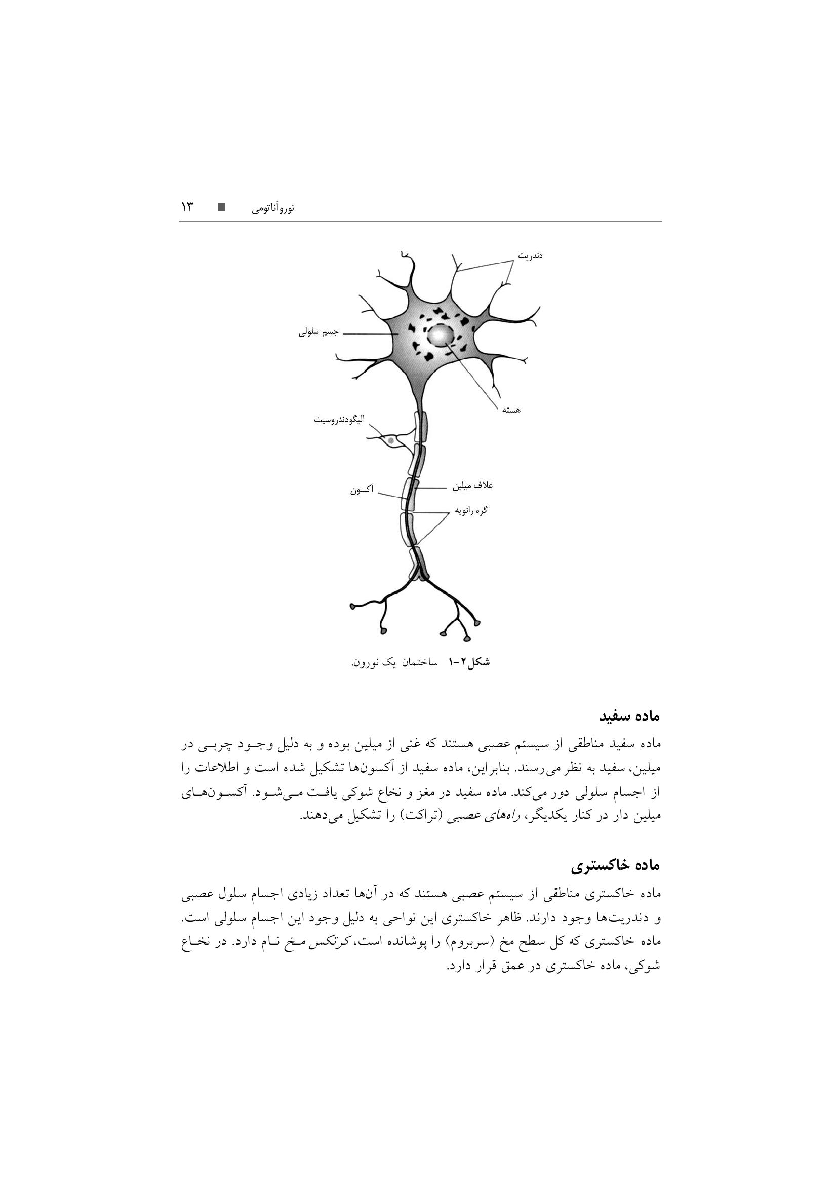 تکنیک های توانبخشی در درمان سکته مغزی - صفحه 10