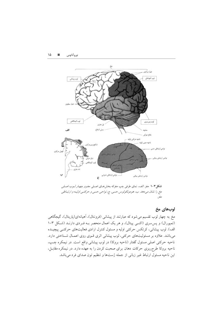تکنیک های توانبخشی در درمان سکته مغزی - صفحه 12