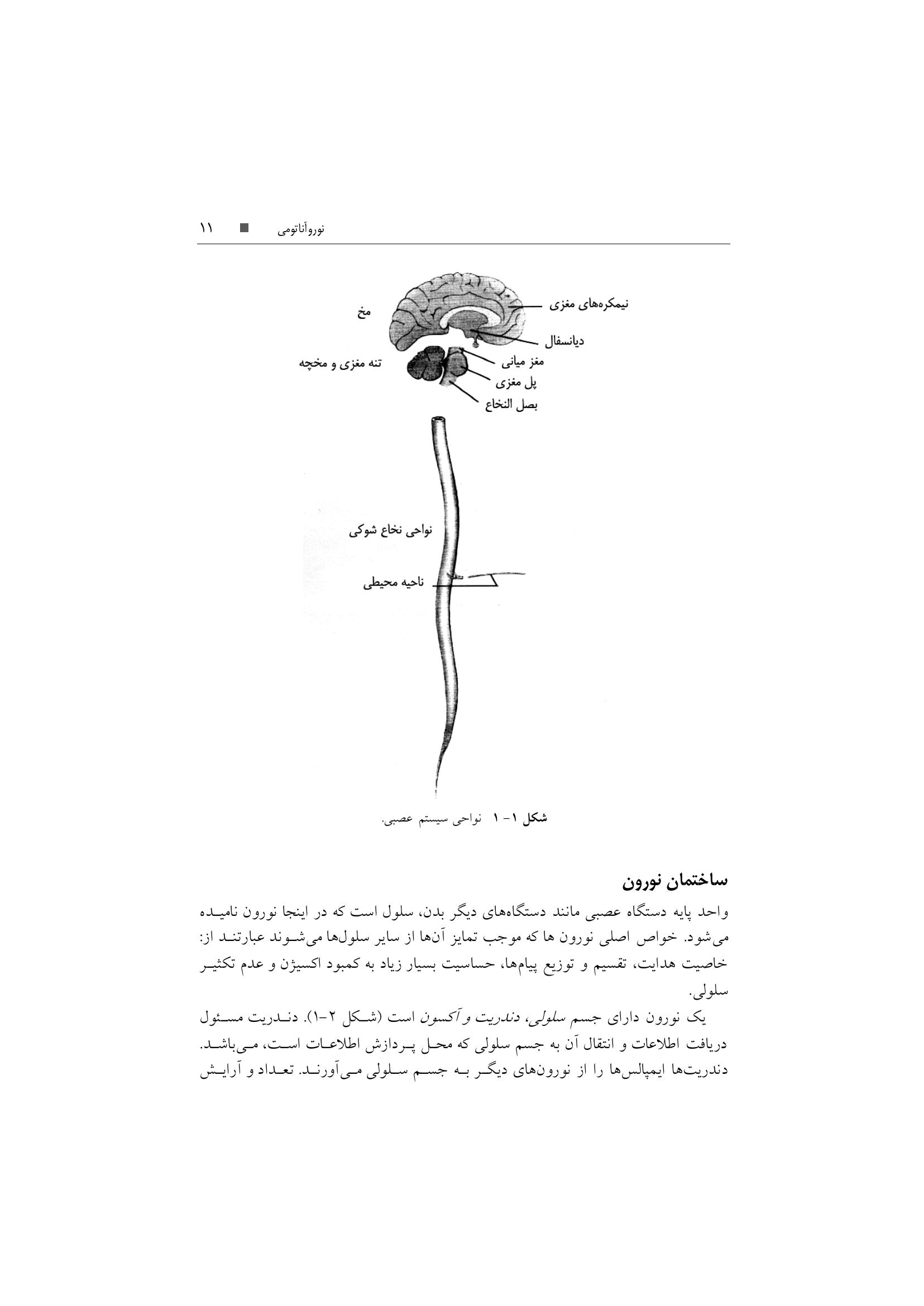 تکنیک های توانبخشی در درمان سکته مغزی - صفحه 8