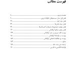 مقدمهای بر مدل سیستمهای خانوادهدرونی - صفحه 2