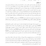 راهنمای آموزش حل مسئله و تنظیم هیجان آسیب‌دیدگان مغزی براساس PLUSوSTEP - صفحه 10