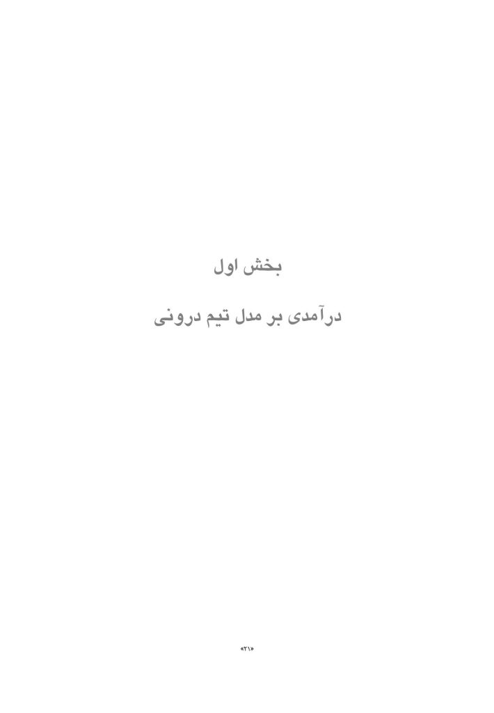 تیم درونی و مفاهمه متناسب با موقعیت - صفحه 20