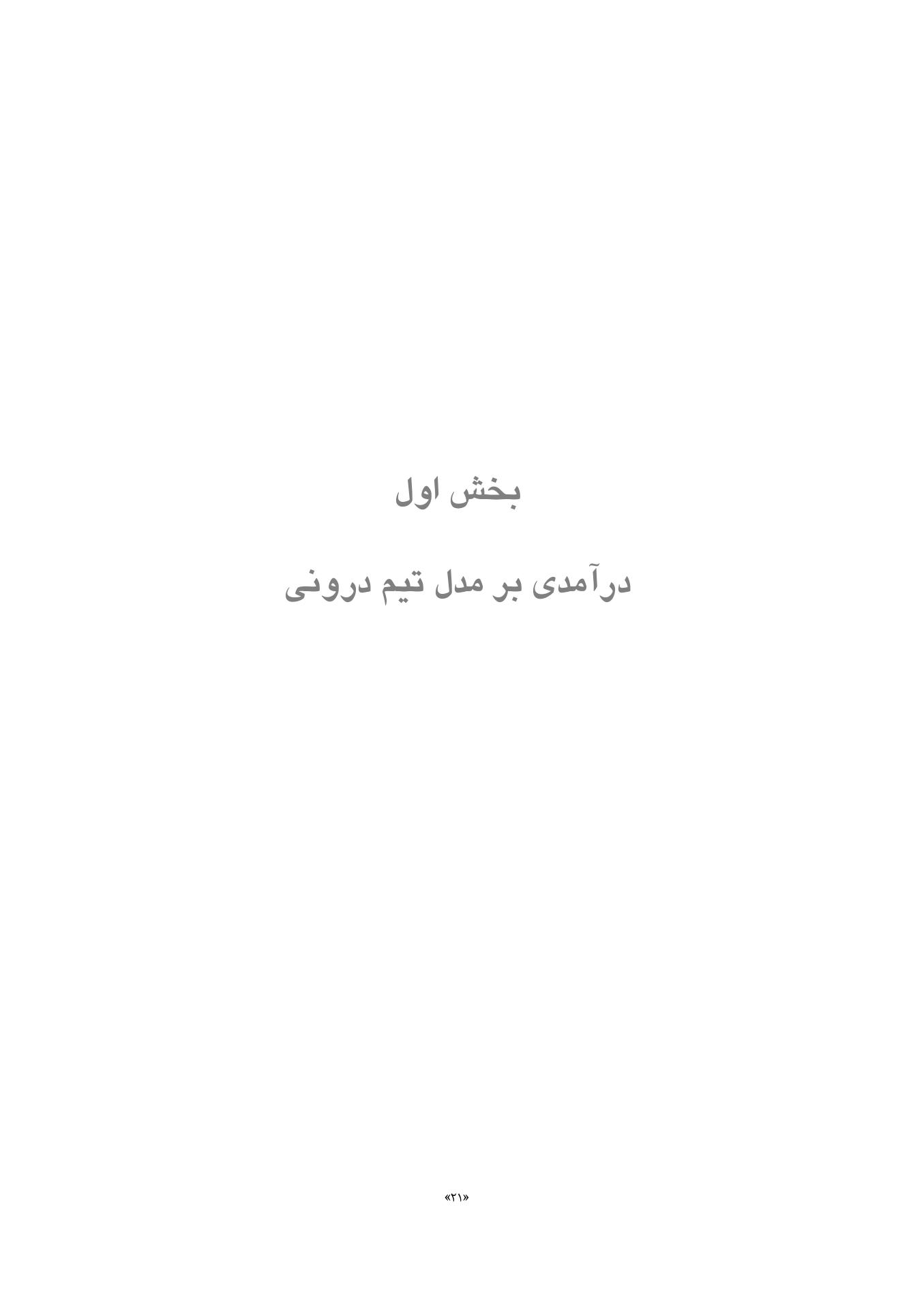 تیم درونی و مفاهمه متناسب با موقعیت - صفحه 20