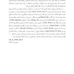 تیم درونی و مفاهمه متناسب با موقعیت - صفحه 9