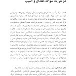 مشاوره با نوجوانان در شرایط فقدان، سوگ و آسیب - صفحه 5